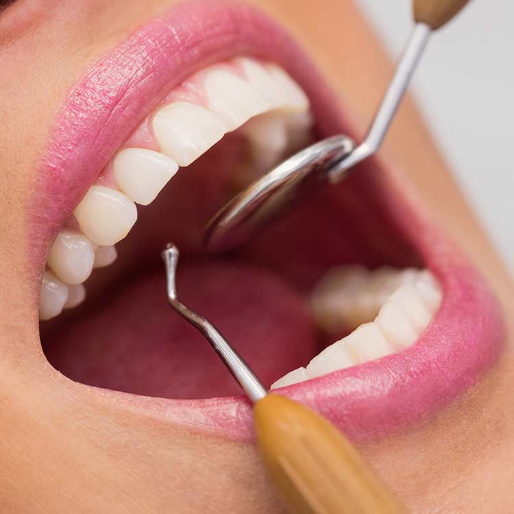 Periodontoloji Periodontoloji
